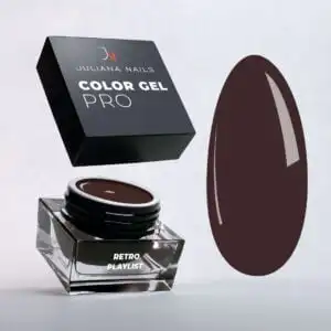 Color Gel Pro – Retro Playlist 4,5g